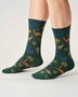 Thought sokken heren 3-pack - dinosaurus